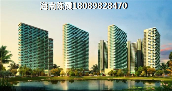 丽海阳光XG解读！