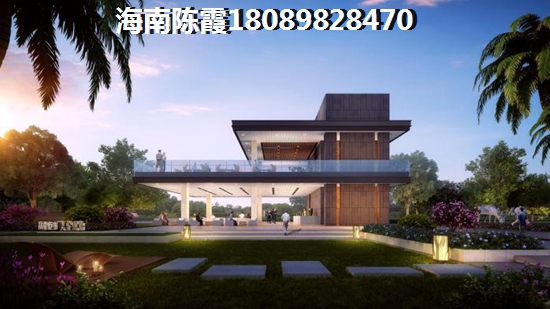《白鹭公元》touzi前景分析
