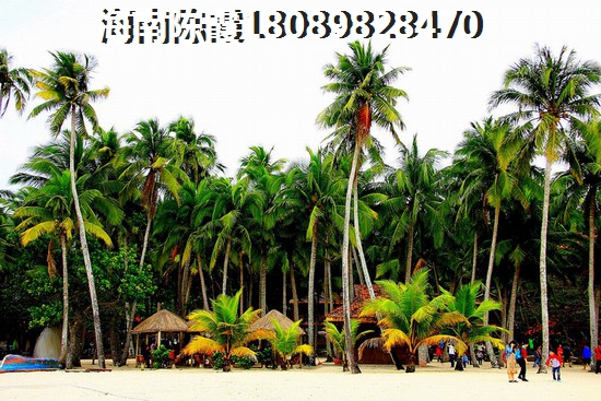 澄迈老城房价哪个区域低，澄迈老城房地产分析