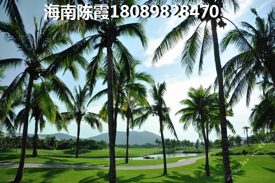 能否在半岛壹号购房？