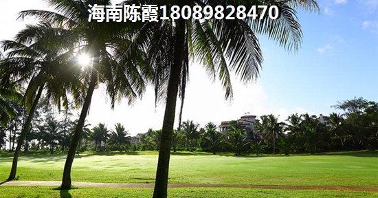 金江镇醉具性价比新房
